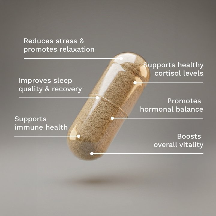 Ashwagandha for Stress - TRIBE ORGANICS