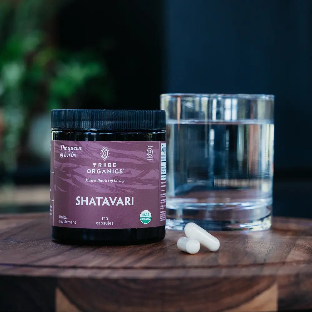 Organic Shatavari Root Powder Supplement - TRIBE ORGANICS