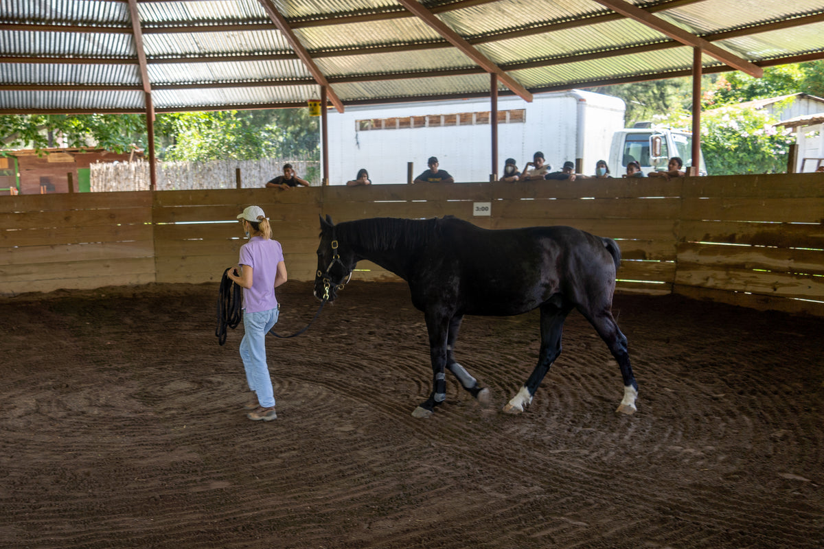 An afternoon at the Lead-Up arena.