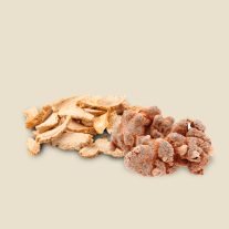 AstraGin — Panax notoginseng + Astragalus membranaceus