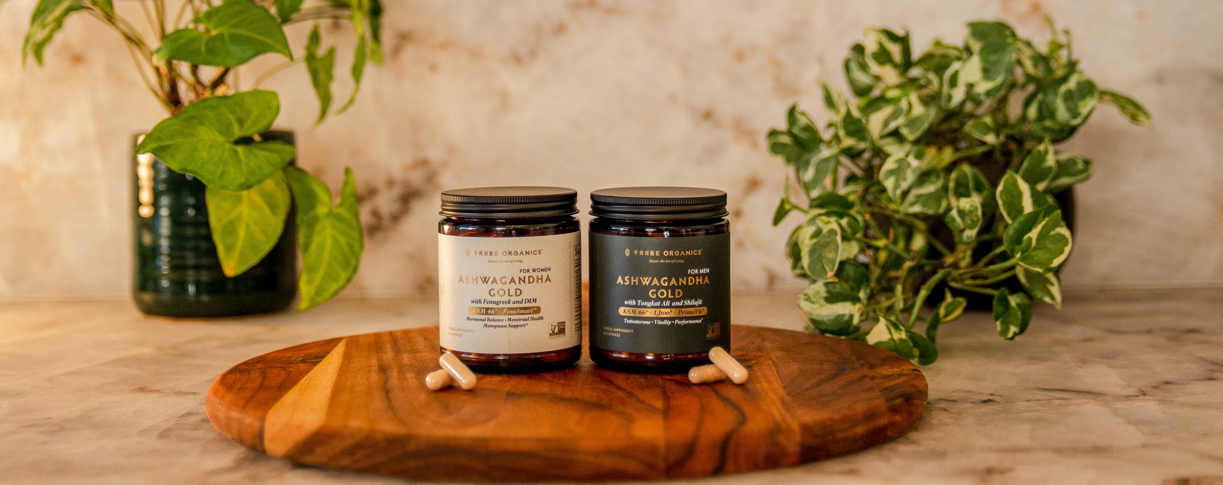 Ashwagandha Gold Collection