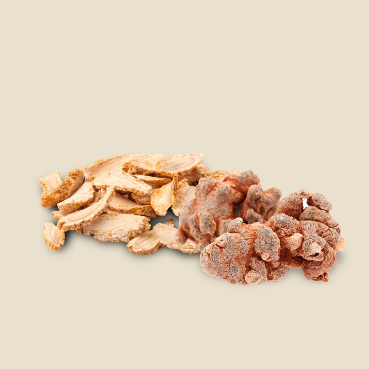 AstraGin astragalus and panax notoginseng roots